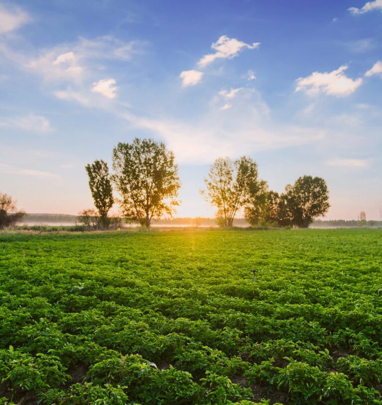Progressive Farming and its Significance in Combating Climate Change